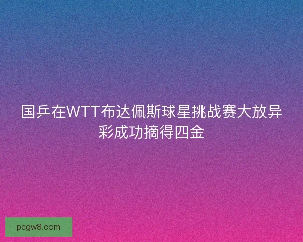 国乒在WTT布达佩斯球星挑战赛大放异彩成功摘得四金